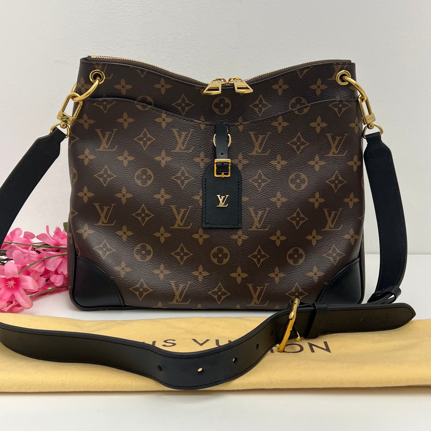 Louis Vuitton Monogram Odeon NM MM