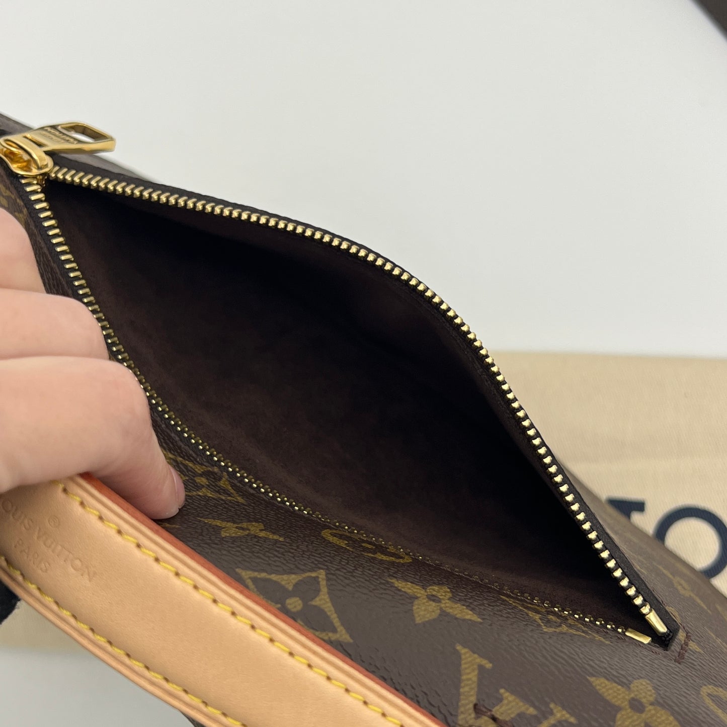 Louis Vuitton Pochette Métis Monogram