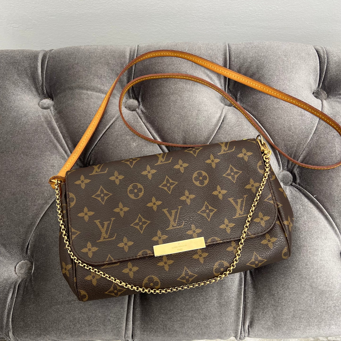 Louis Vuitton Monogram Favorite MM