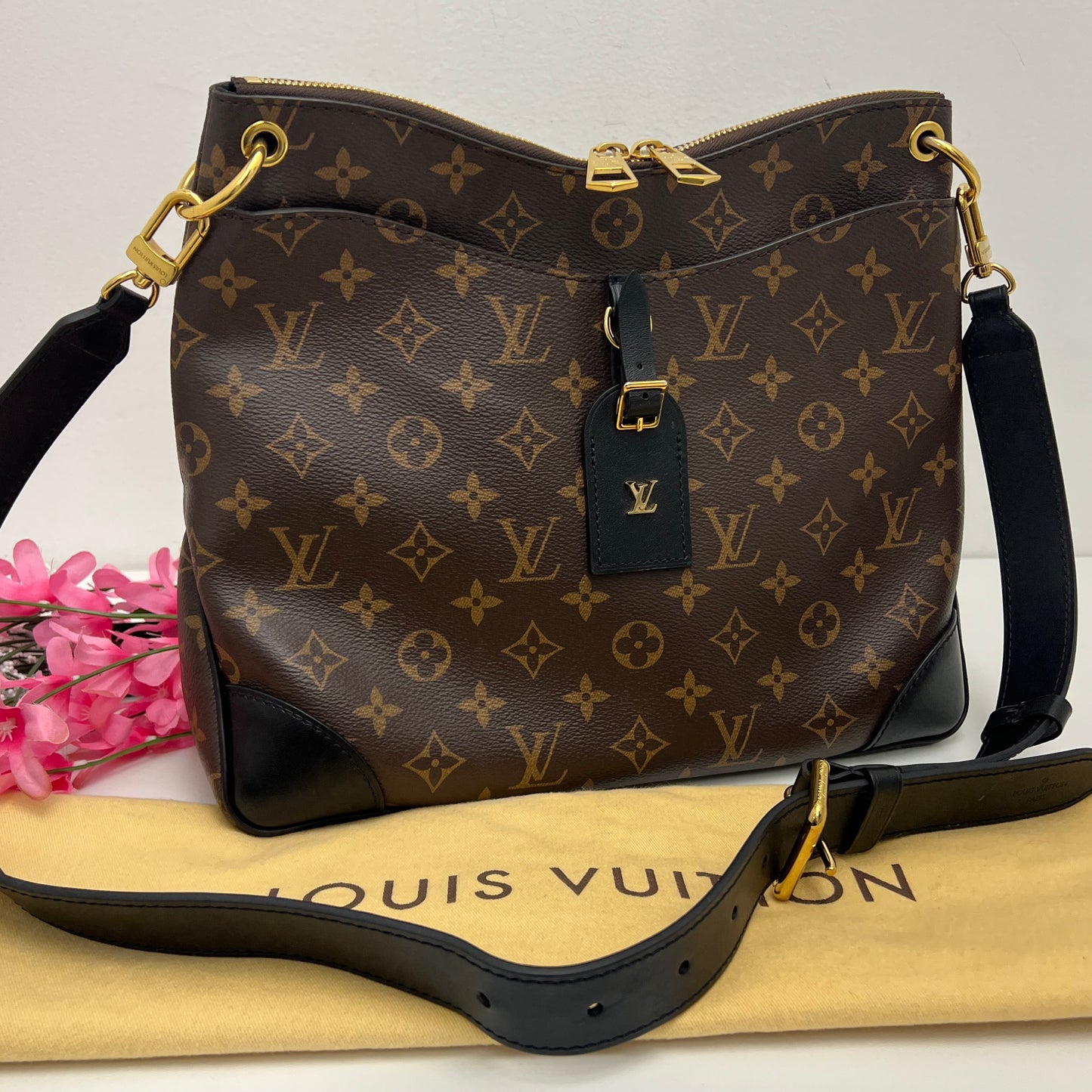 Louis Vuitton Monogram Odeon NM MM
