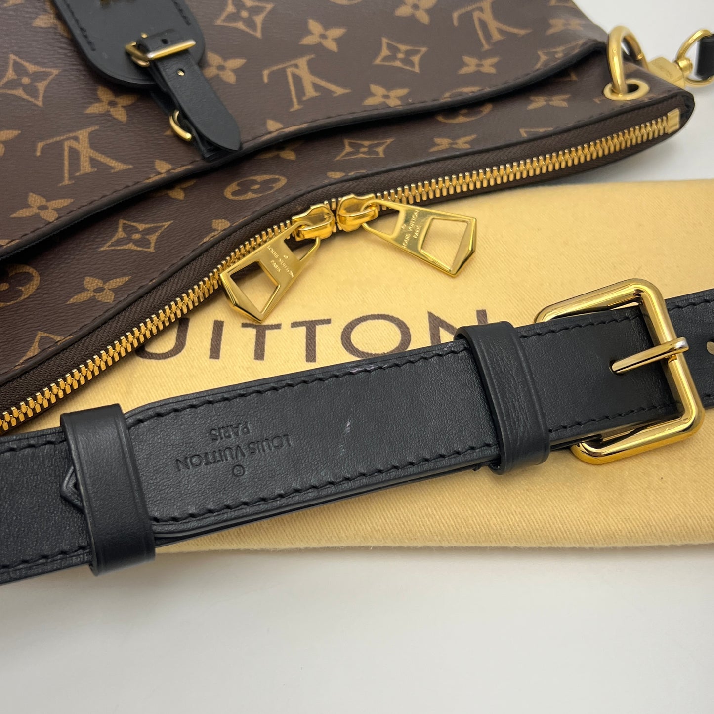 Louis Vuitton Monogram Odeon NM MM