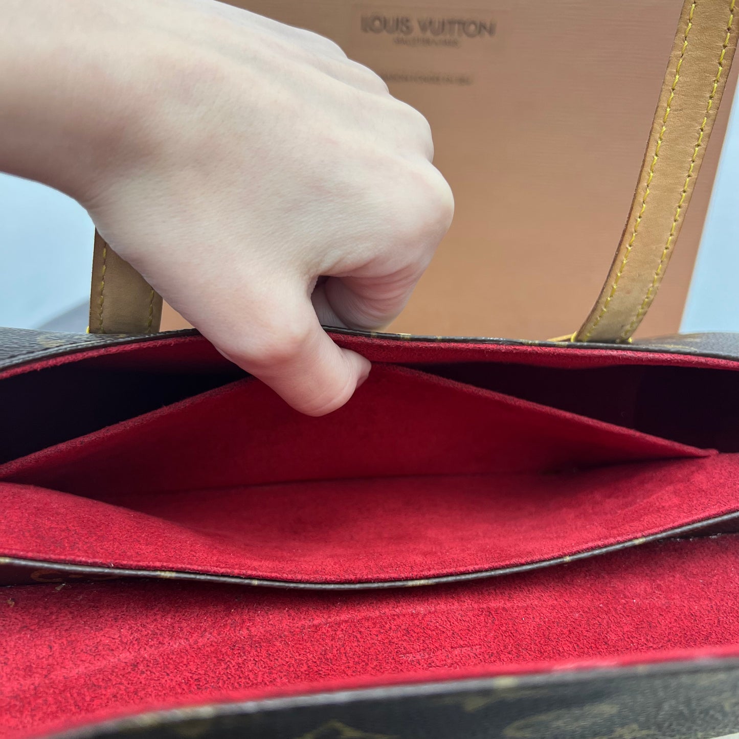 Louis Vuitton Sonatine Monogram