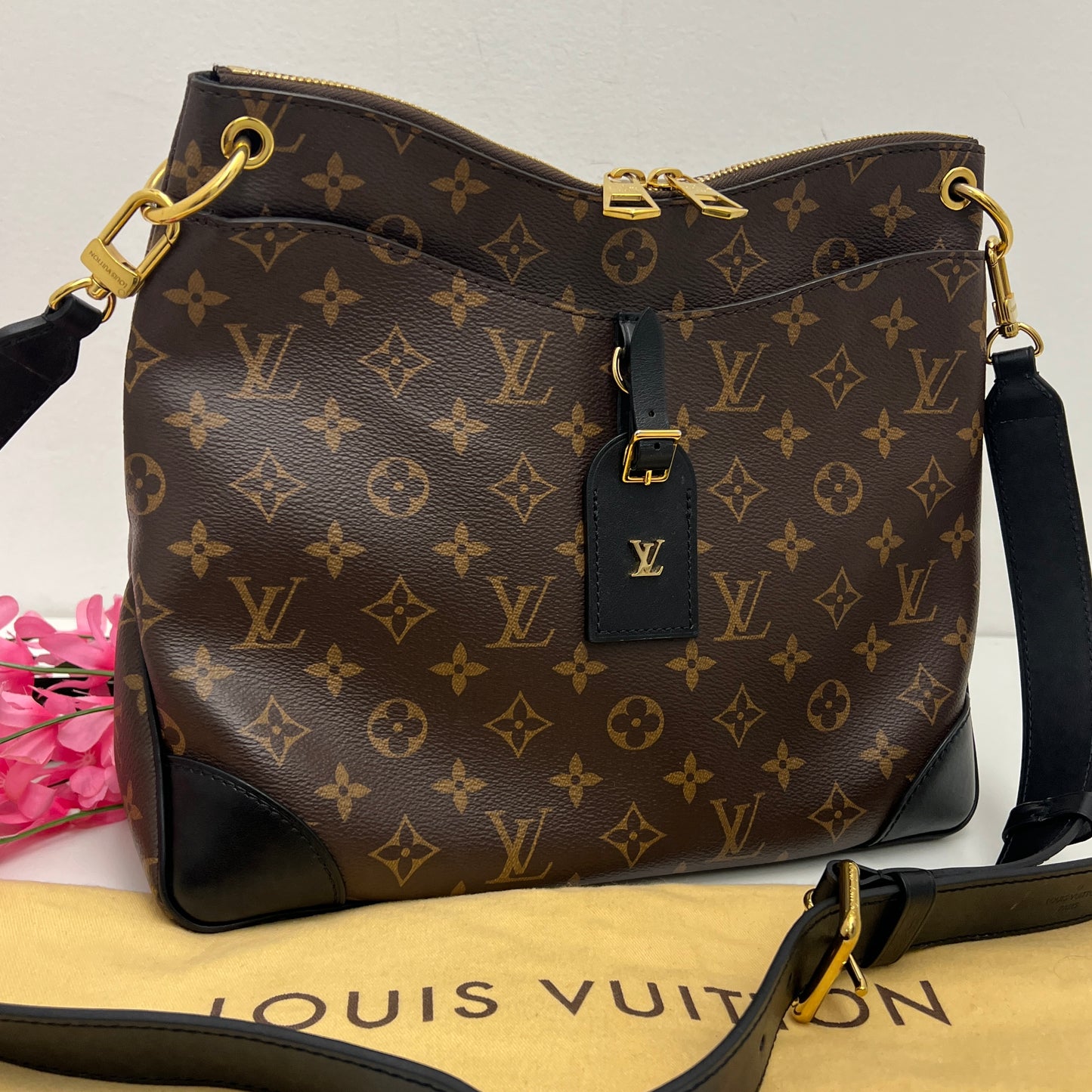 Louis Vuitton Monogram Odeon NM MM