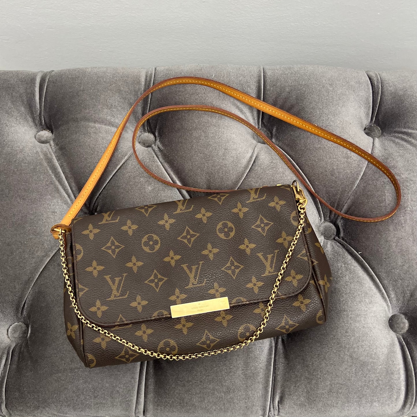 Louis Vuitton Monogram Favorite MM