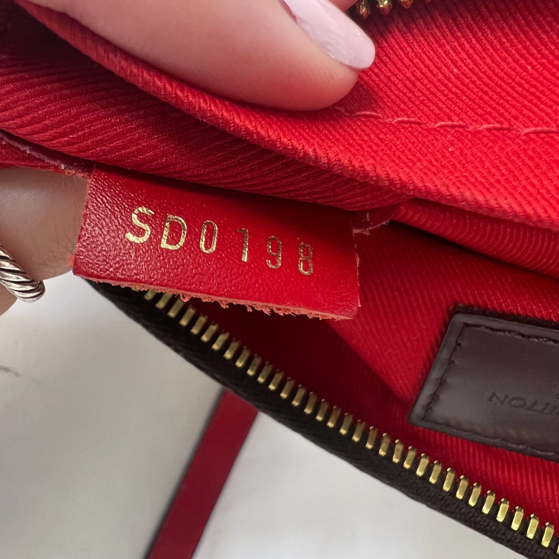 Louis Vuitton South Bank Crossbody Damier Ebene