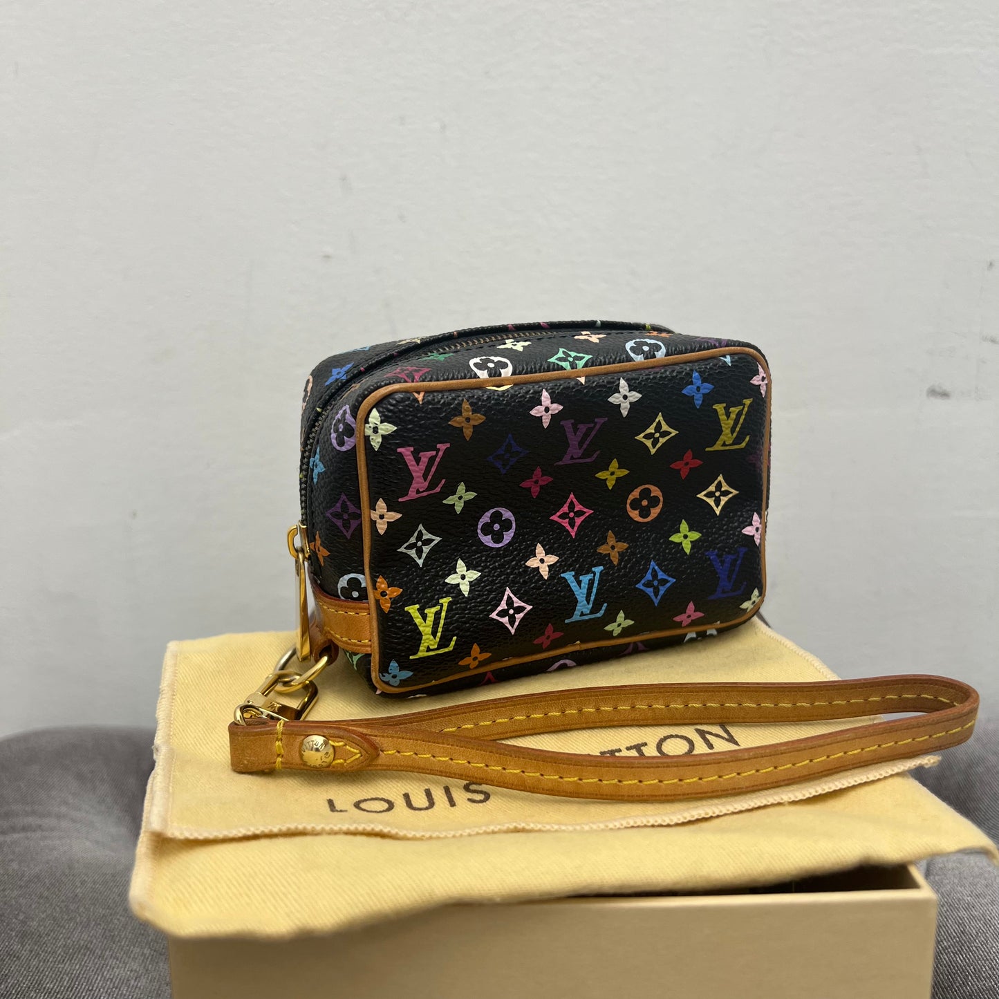 Louis Vuitton Wapity Multicolor