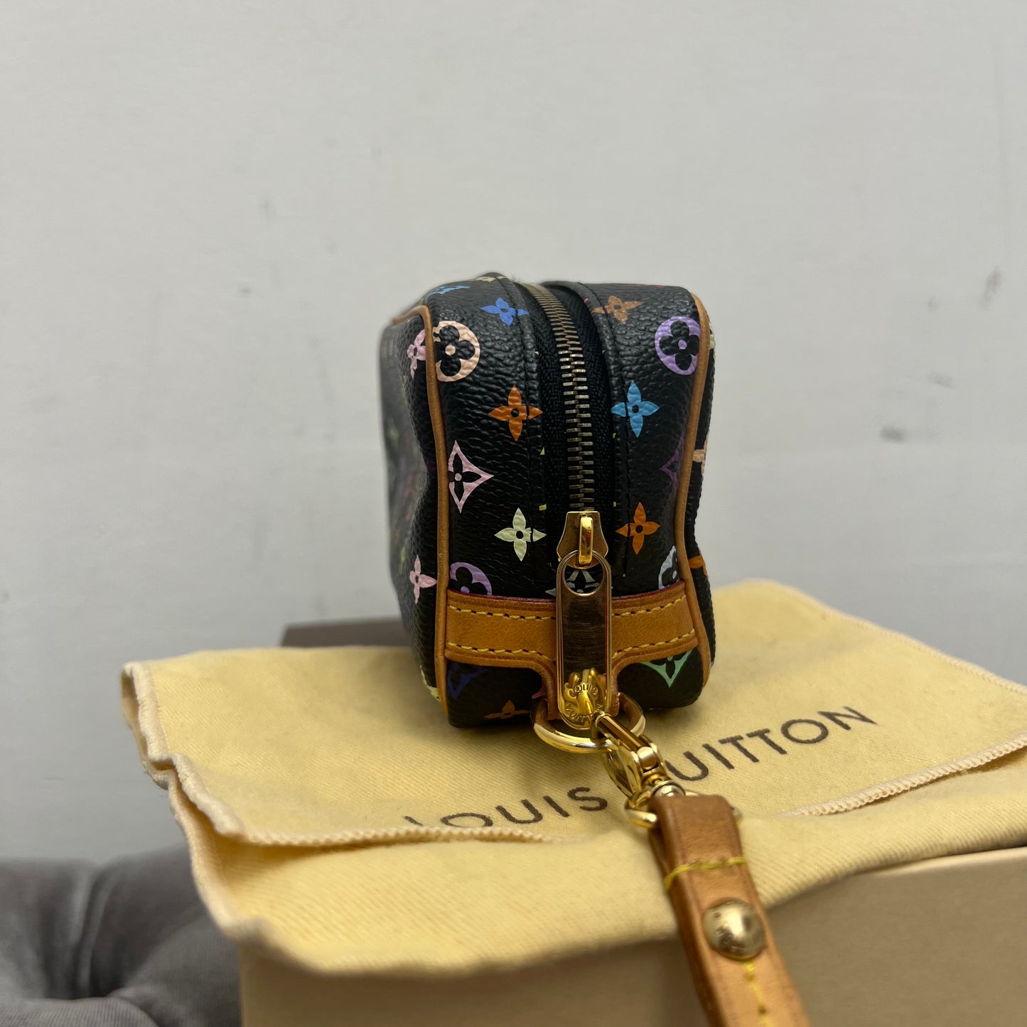 Louis Vuitton Wapity Multicolor