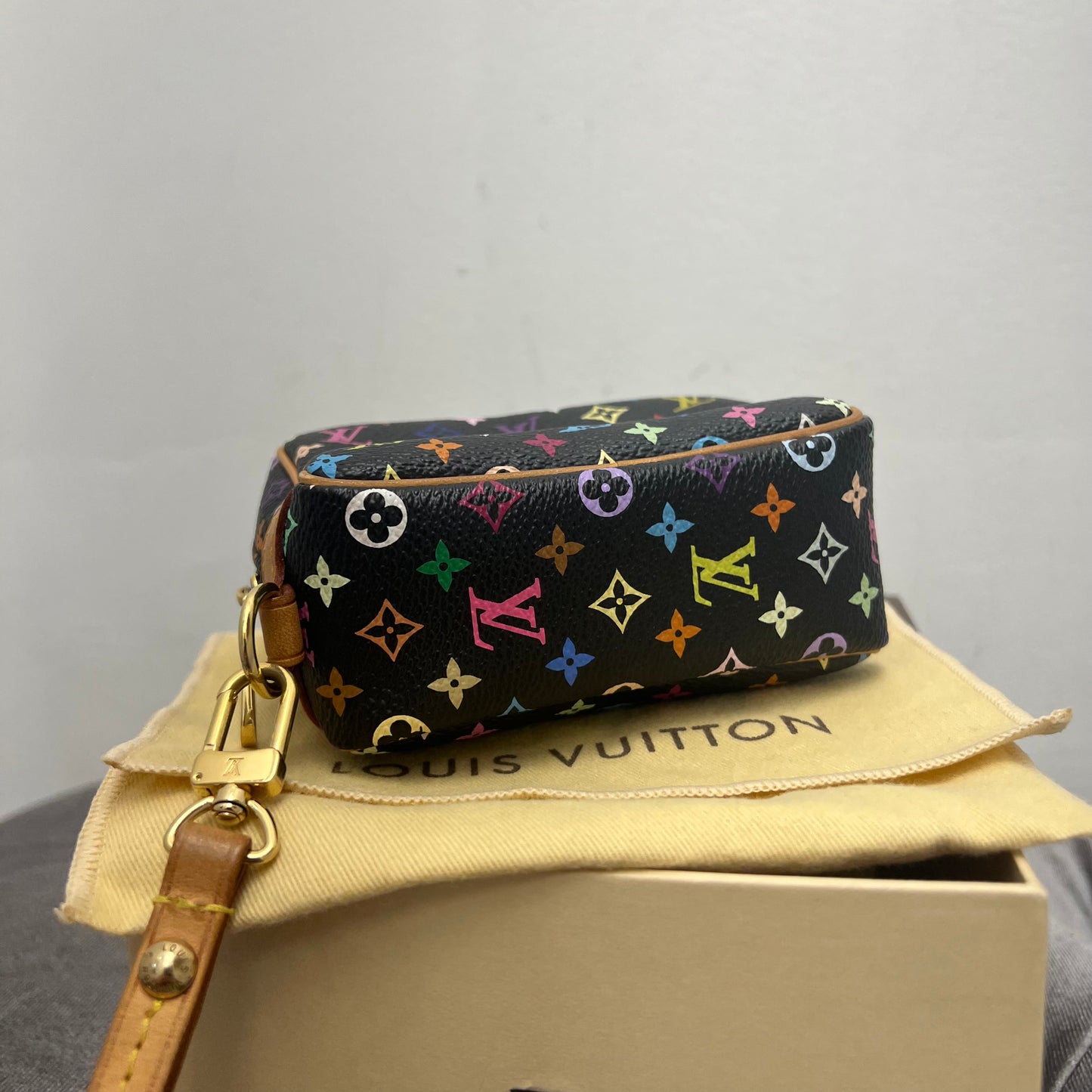 Louis Vuitton Wapity Multicolor