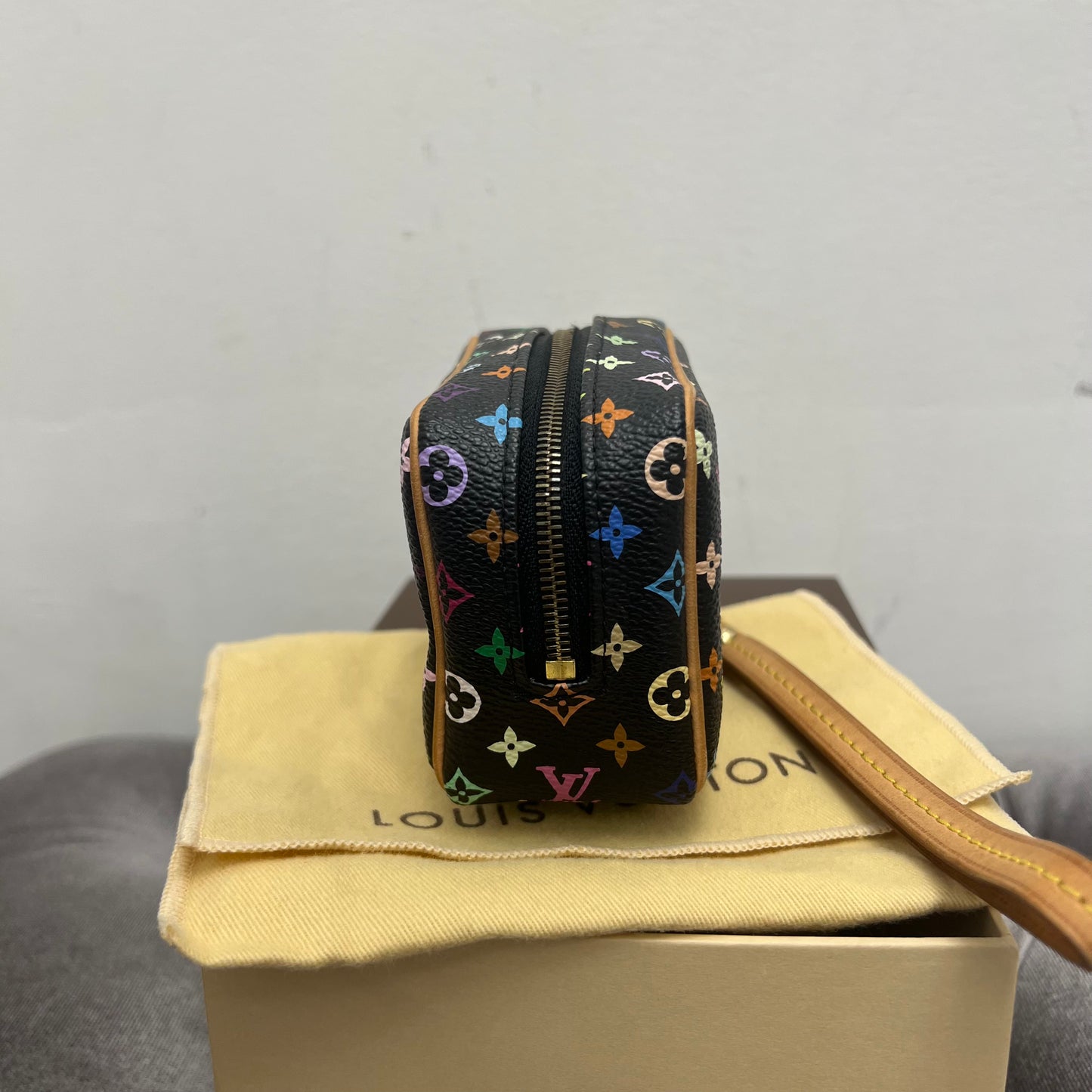 Louis Vuitton Wapity Multicolor