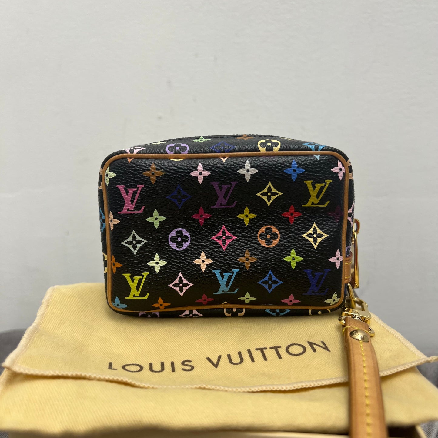 Louis Vuitton Wapity Multicolor
