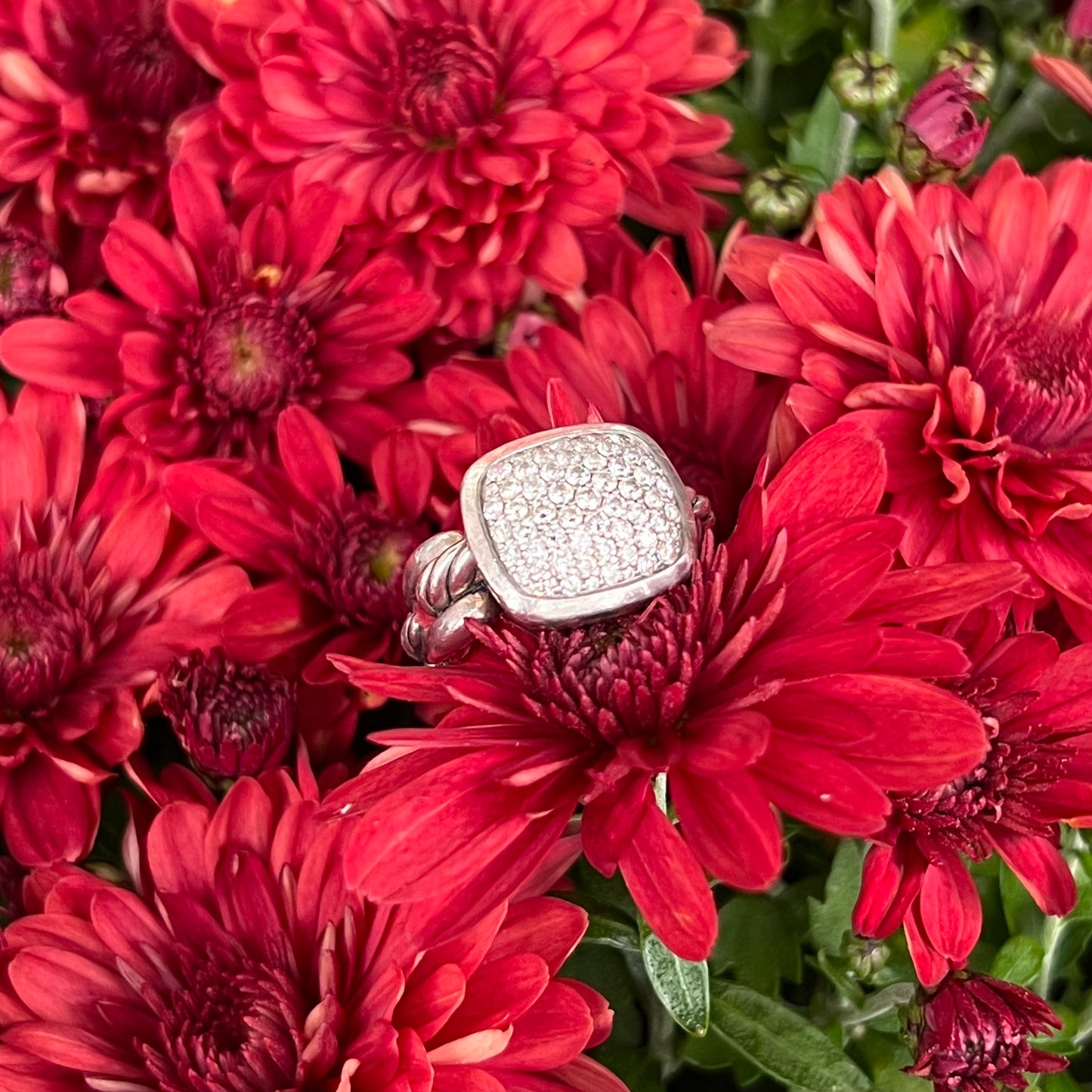 David Yurman Wellesley Statement Ring, Size 6