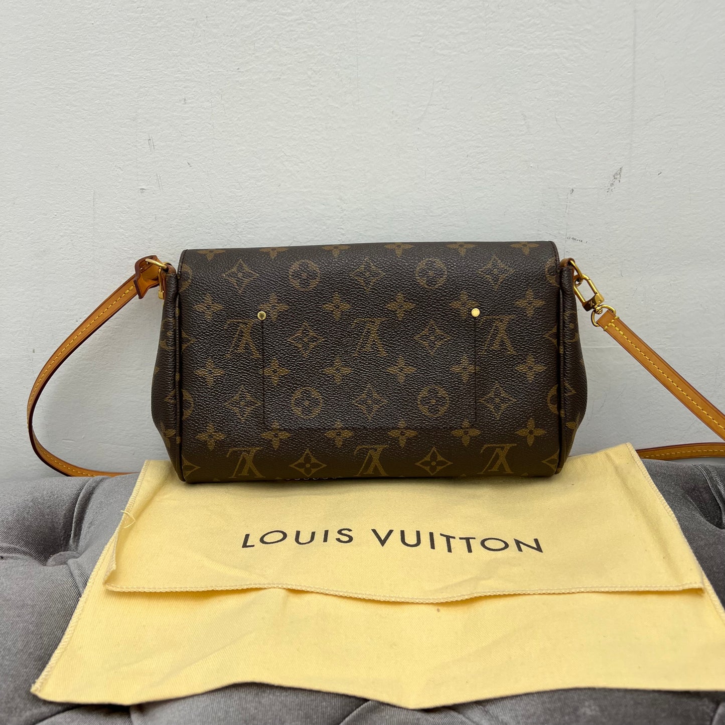 Louis Vuitton Monogram Favorite MM