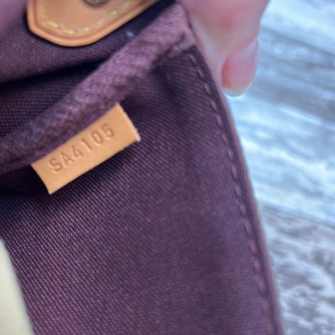 Louis Vuitton Monogram Favorite MM