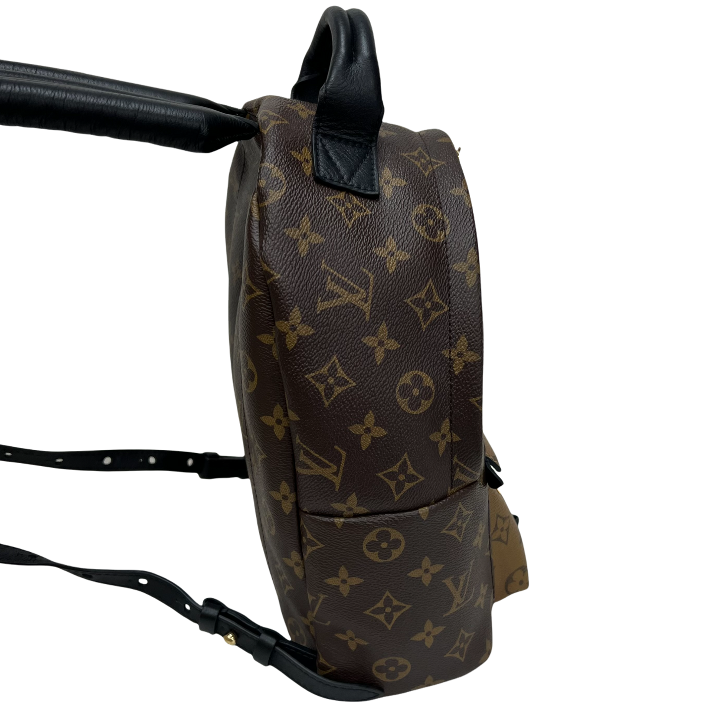 Louis Vuitton Reverse Monogram Palm Springs Backpack PM
