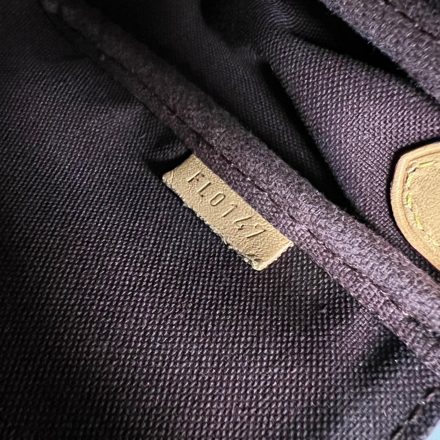 Louis Vuitton Monogram Favorite MM