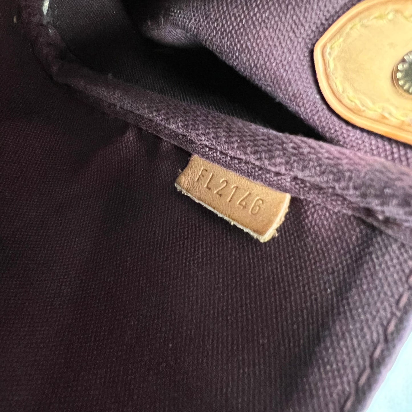 Louis Vuitton Monogram Favorite MM