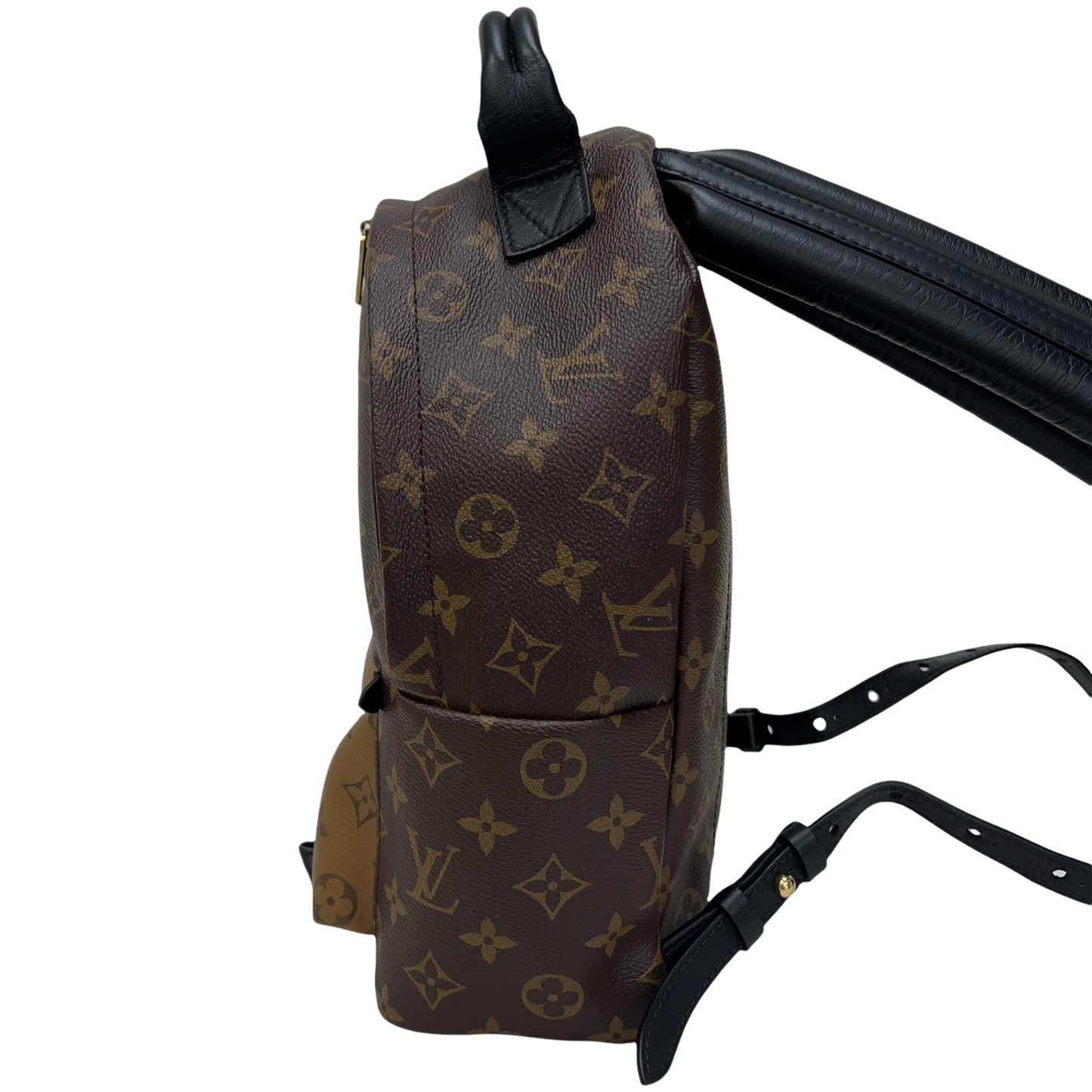 Louis Vuitton Reverse Monogram Palm Springs Backpack PM