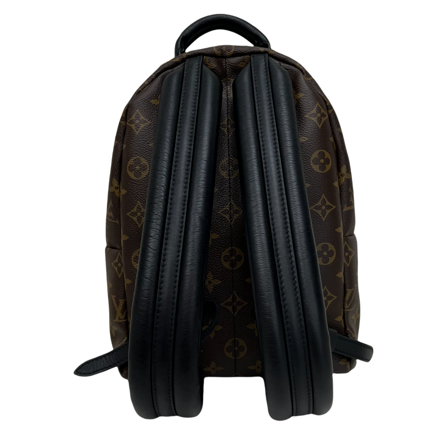 Louis Vuitton Reverse Monogram Palm Springs Backpack PM