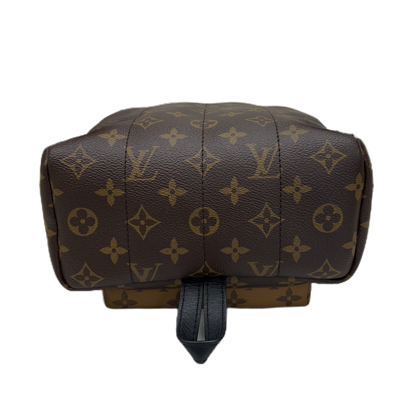 Louis Vuitton Reverse Monogram Palm Springs Backpack PM