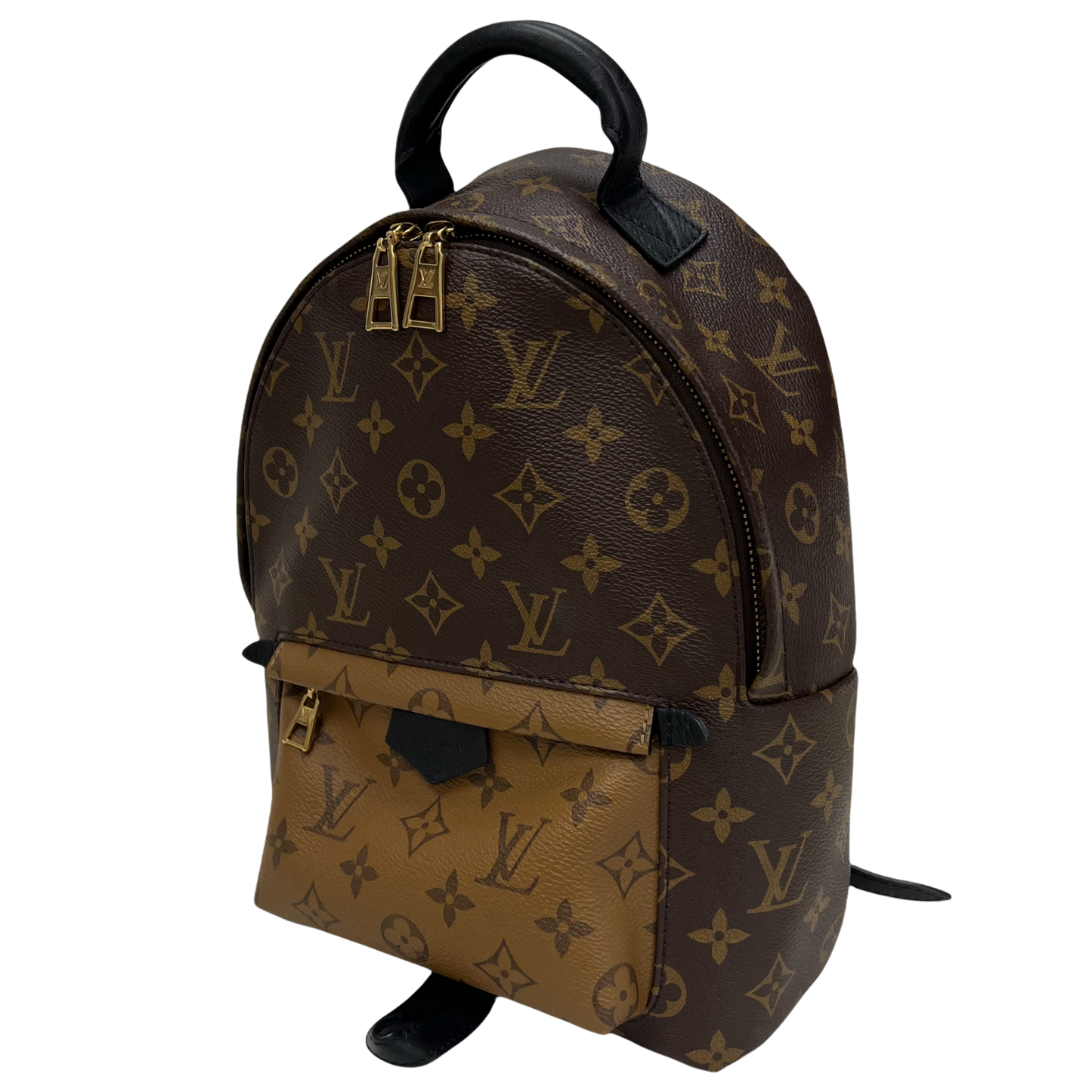 Louis Vuitton Reverse Monogram Palm Springs Backpack PM