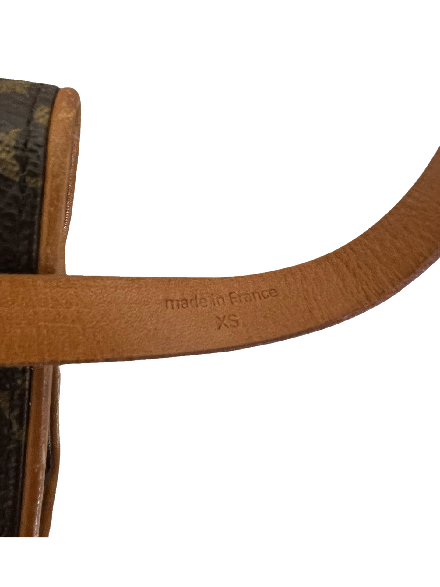 Louis Vuitton Florentine Waist Bag Monogram