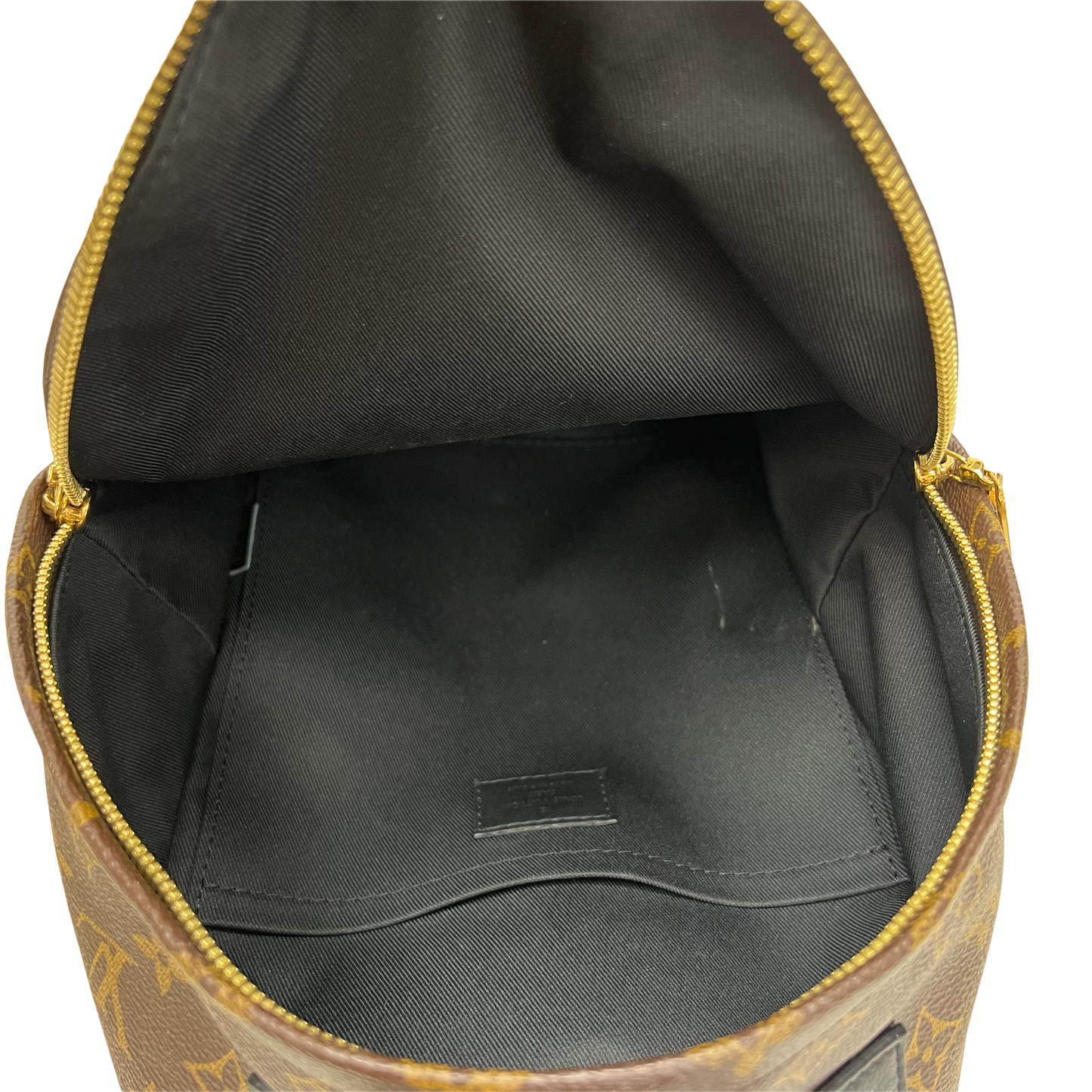 Louis Vuitton Reverse Monogram Palm Springs Backpack PM