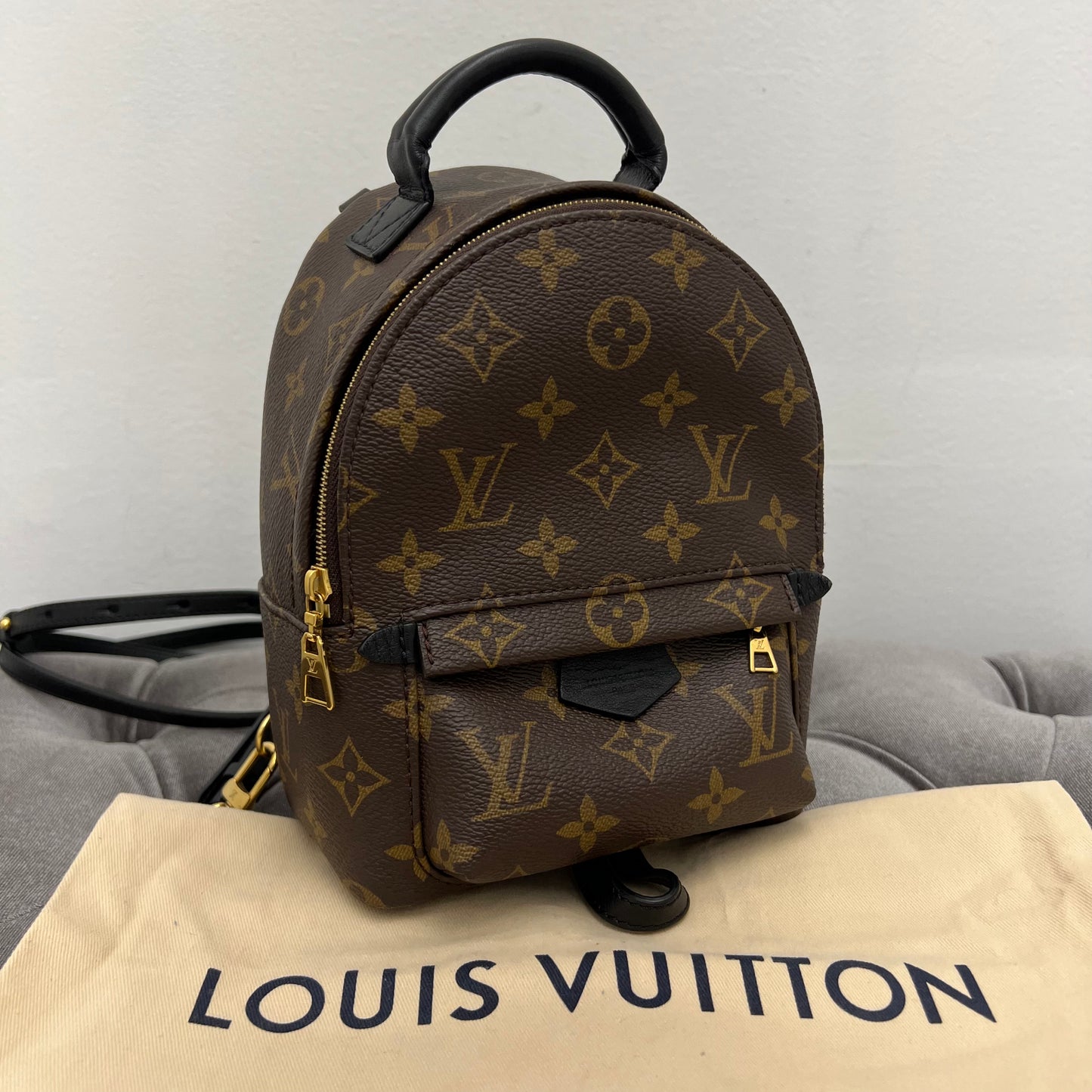 Louis Vuitton Palm Springs Mini Backpack Monogram