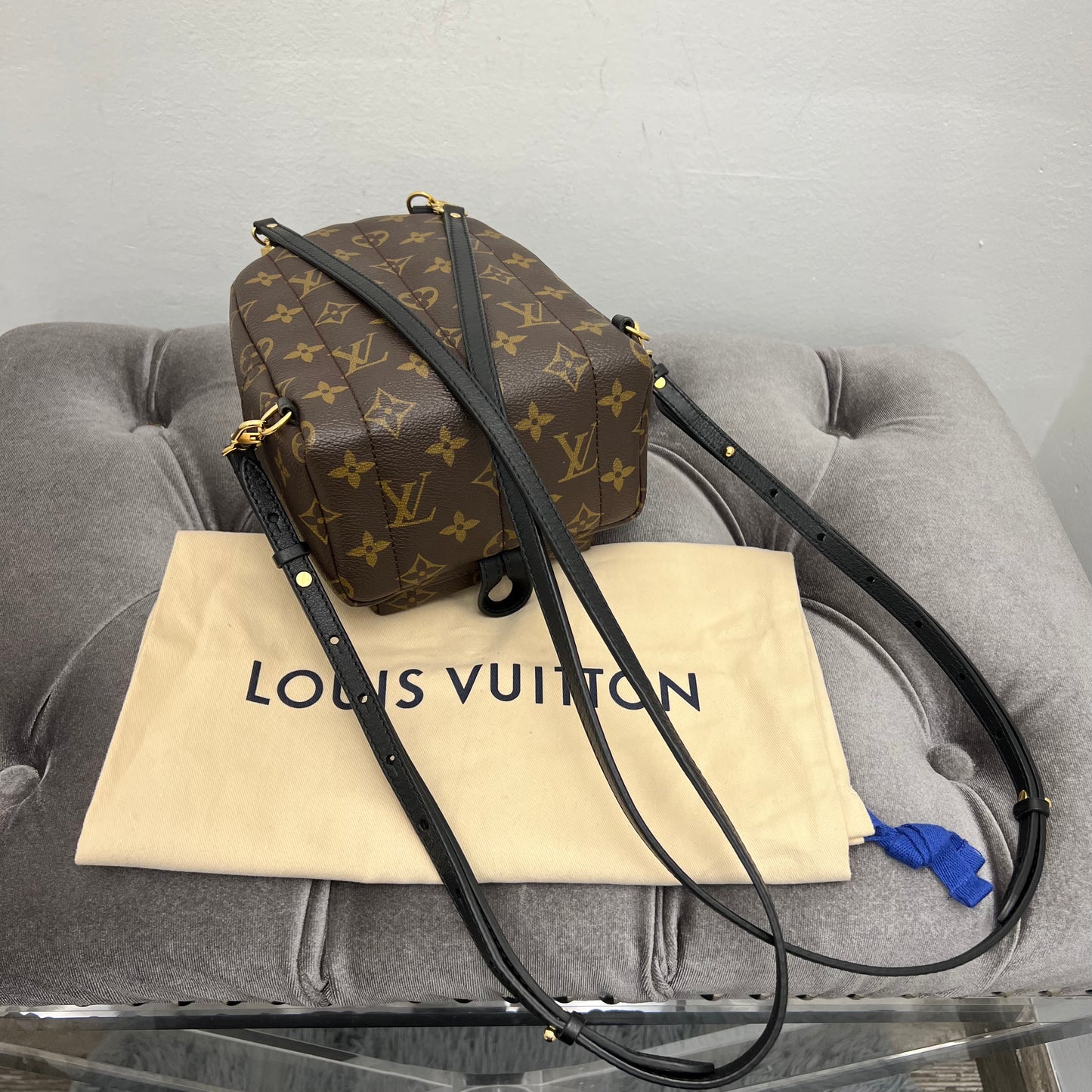 Louis Vuitton Palm Springs Mini Backpack Monogram