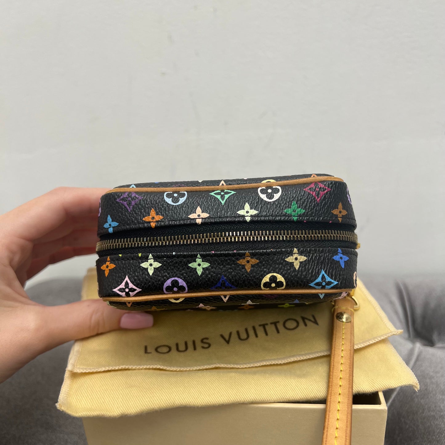 Louis Vuitton Wapity Multicolor