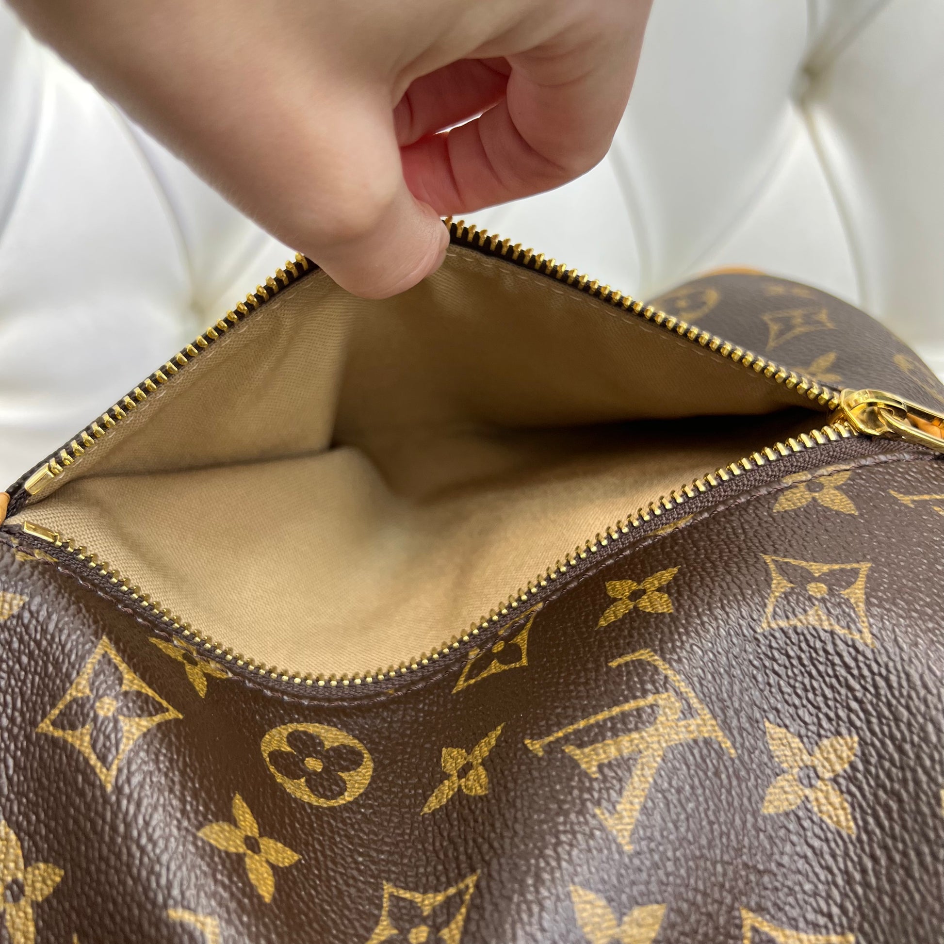 Louis Vuitton Delightful Gm Dimensions