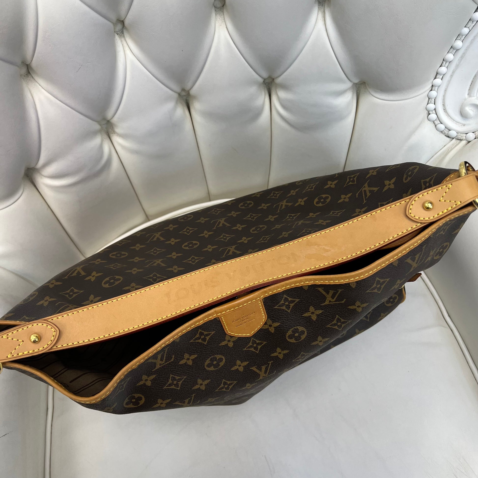 Louis Vuitton Delightful Gm Sized Bag